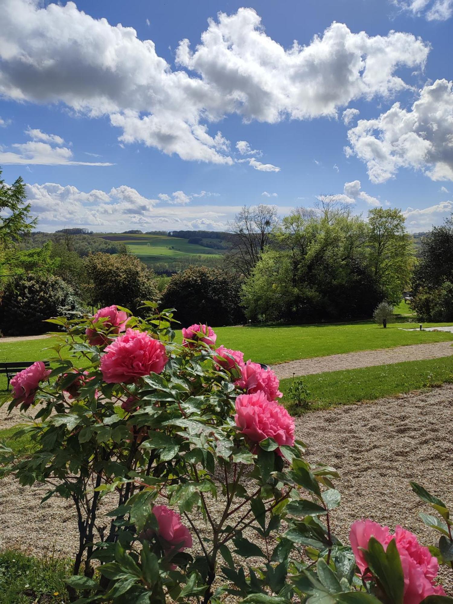 Demeure De La Garenne Bed & Breakfast Montmirail  Luaran gambar
